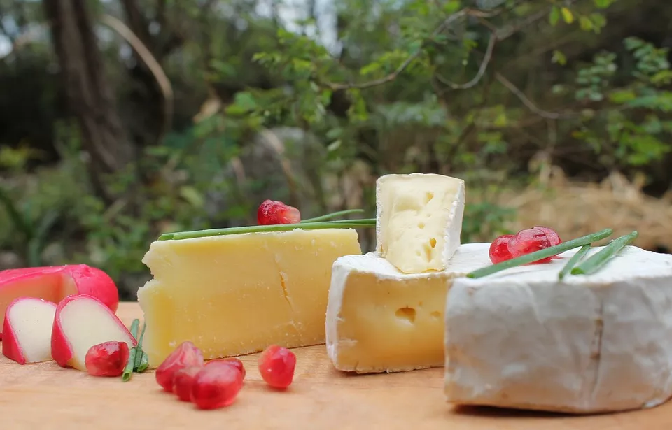 Le Maroc et le fromage… un désamour ?